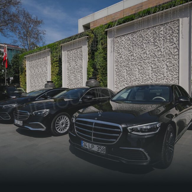Luxury Mercedes Fleet at Hotel Entrance